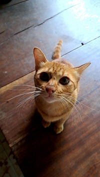 Nataporn Jaitan profile icon