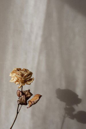 Sintia Leni profile icon