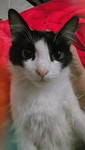 mom of Yusofia profile icon