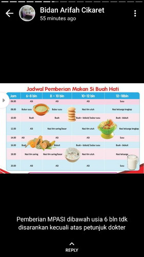 Pemberian MPASI