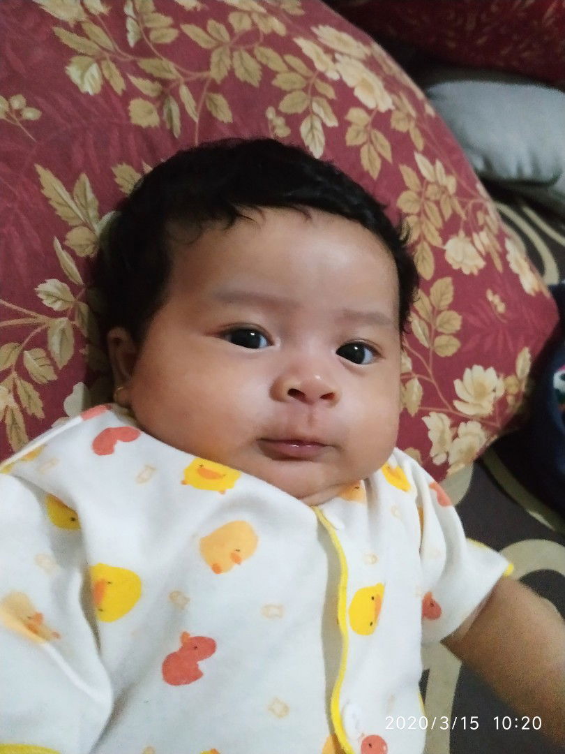 vaksin pcv dan rotavirus