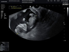 วิไลลักษณ์ เพ็ญวงษ์ profile icon