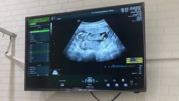 Jutamas Saraphap profile icon