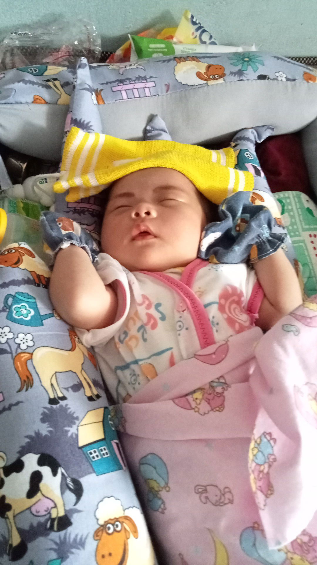 Nurliehasanah Hambali profile icon