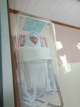 คลอดลูก