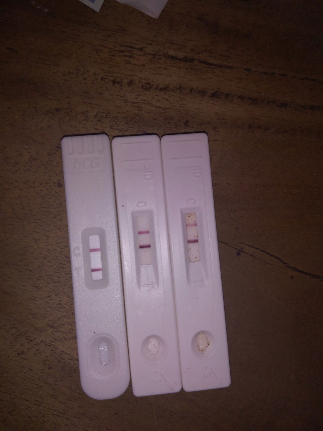 Angel Cruz profile icon