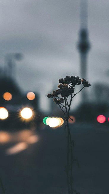 WILIYAWATI profile icon