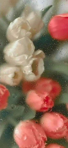 hanun yusoff profile icon