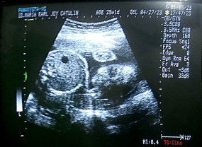 Maria Catulin profile icon