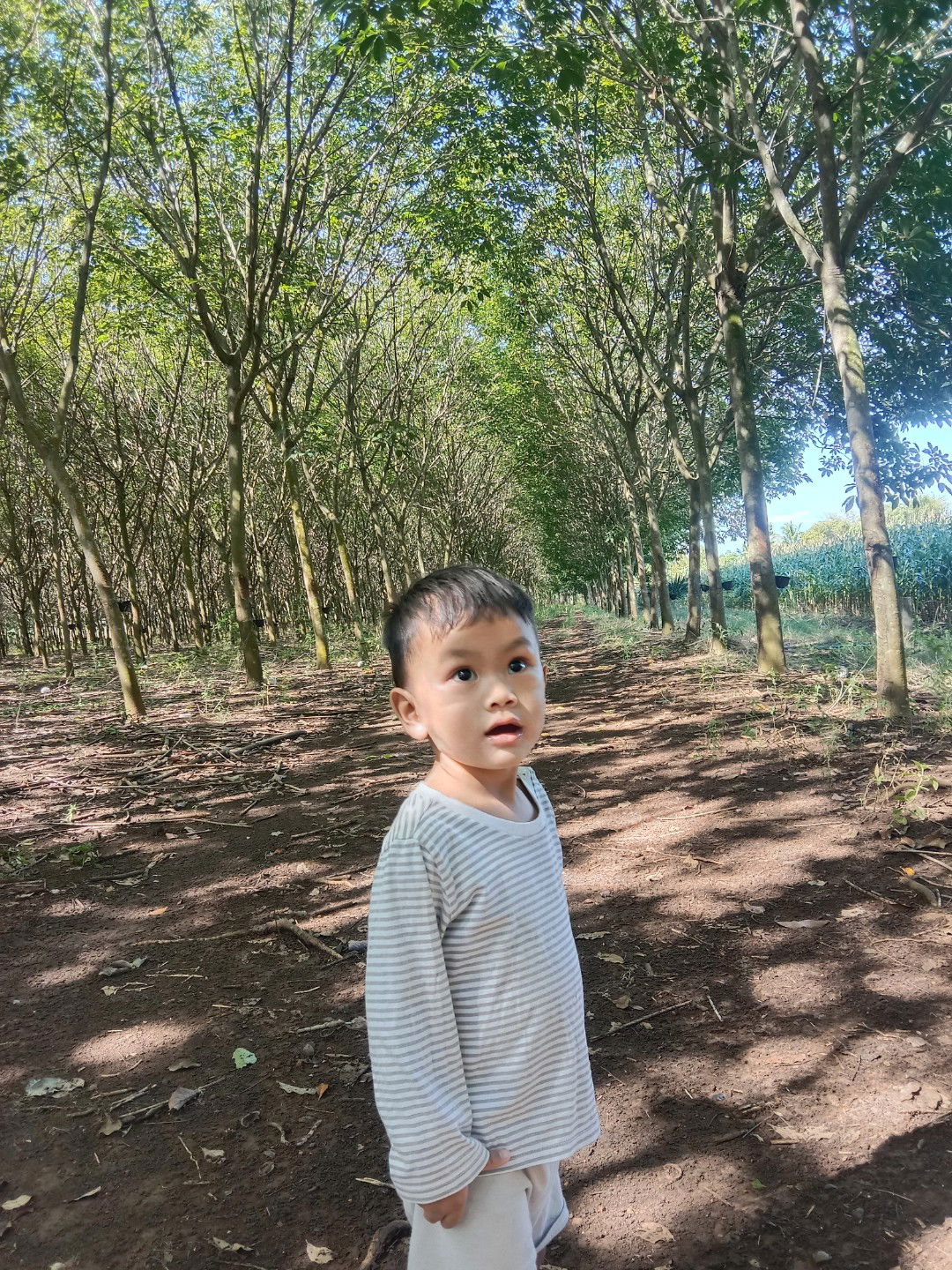 แม่อ้วน profile icon