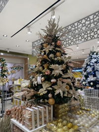 Angel Sy profile icon