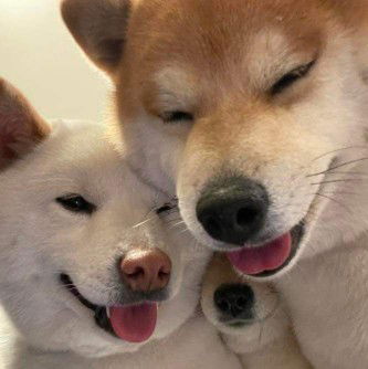 คุณแม่มือใหม่ profile icon