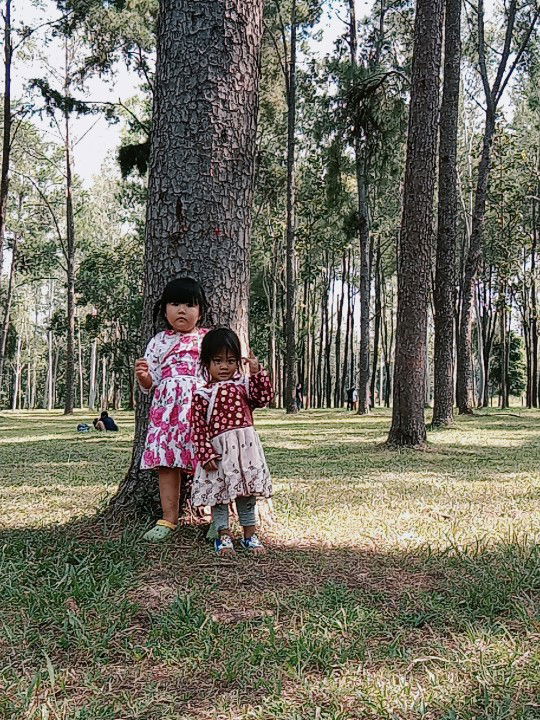 Aree. Seanglee profile icon