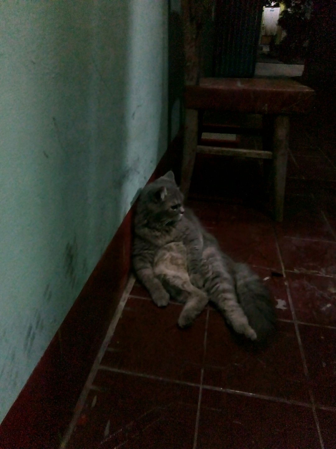 Sri Sumiyati profile icon