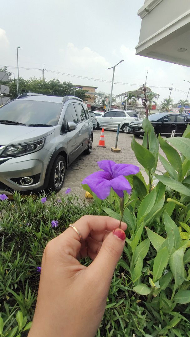 mrs Capricorn 06 profile icon