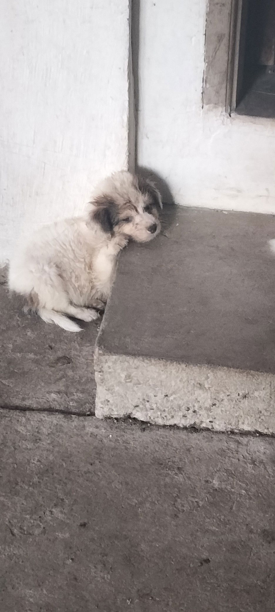 Denzo, Aizy Jhanel, S. profile icon