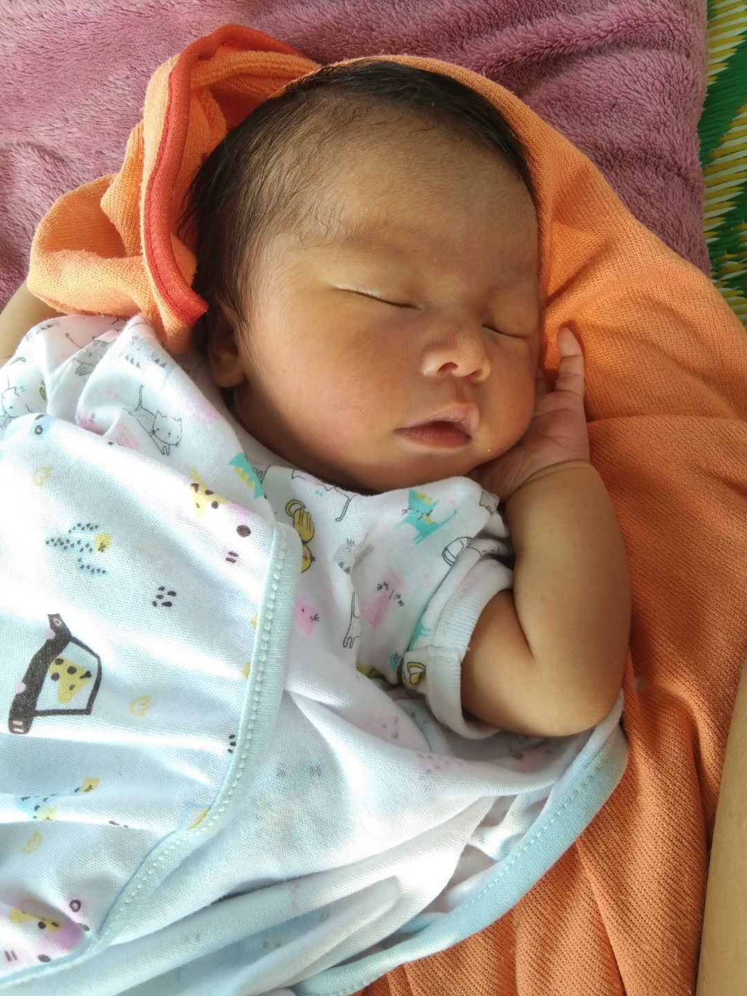 ด.ช.รัชชานนท์ ภูจำปา profile icon