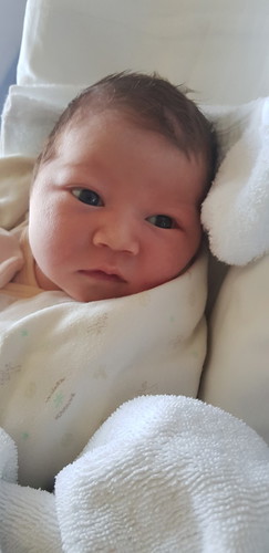 ทีม มกราคมคลอดแล้วจ้า38+1.