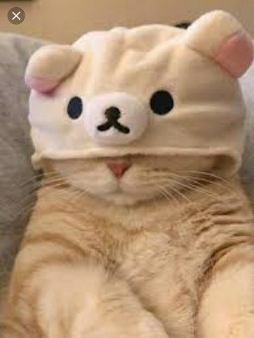 mom fojuukuu profile icon