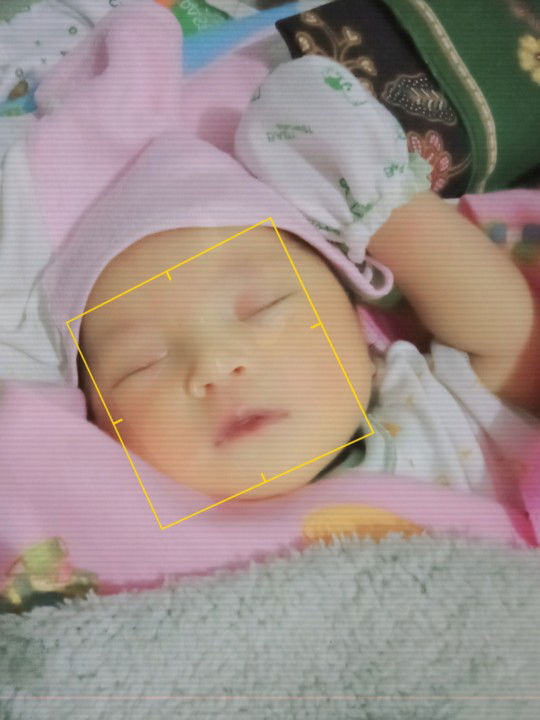 Lani Nuryanti profile icon