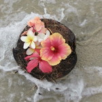 Nur Shahirah profile icon