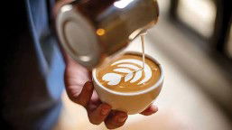 One Cup Of Coffee A Day