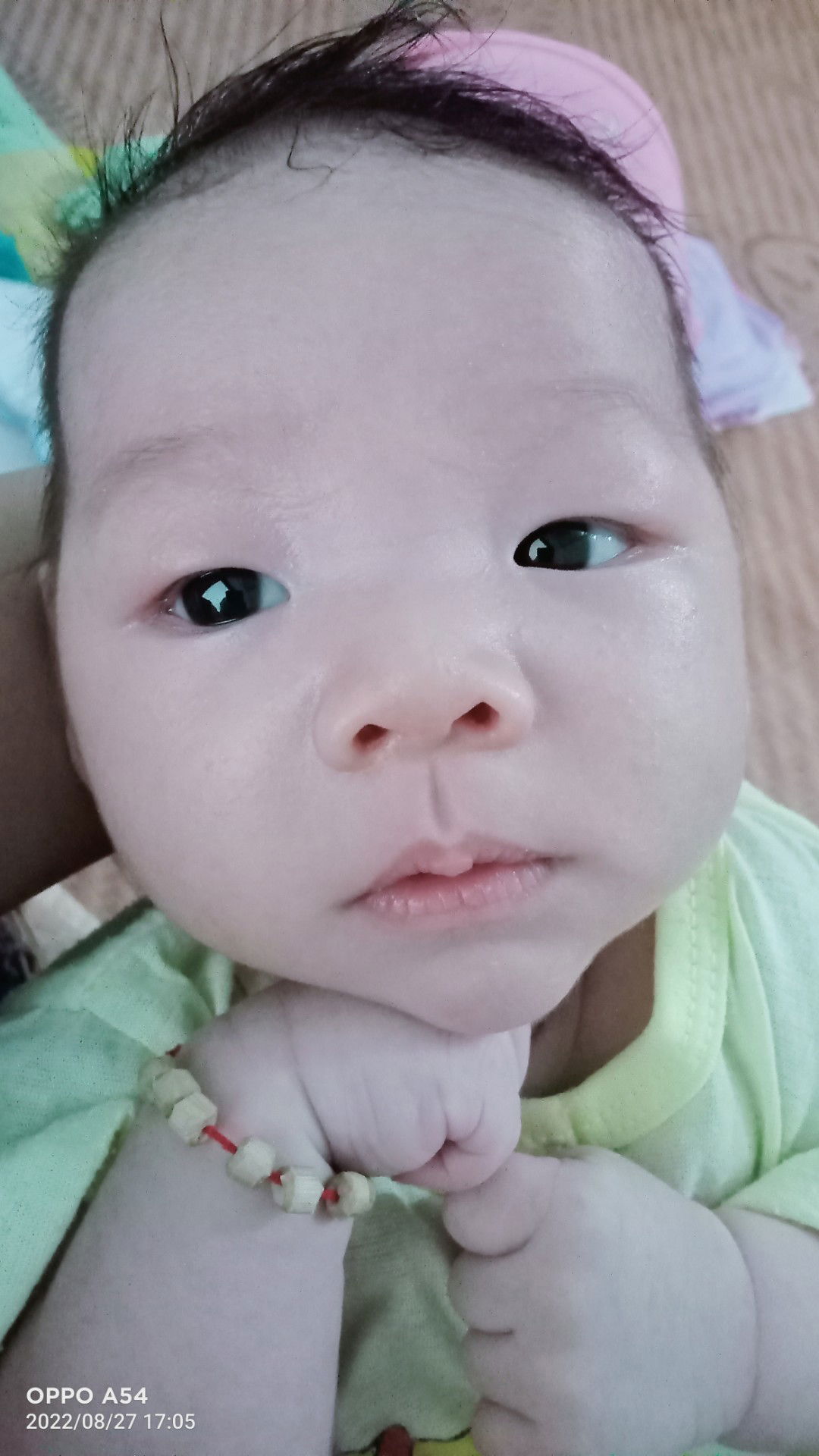 doanthibich profile icon