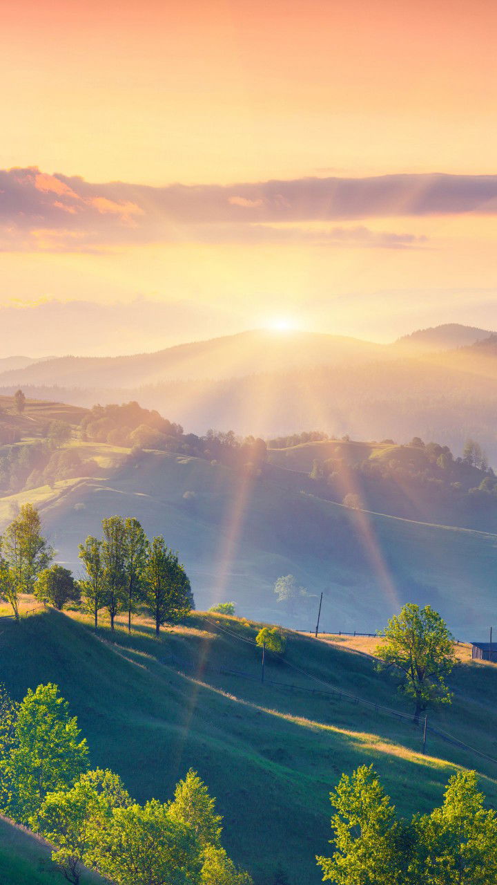 Flora Delle profile icon