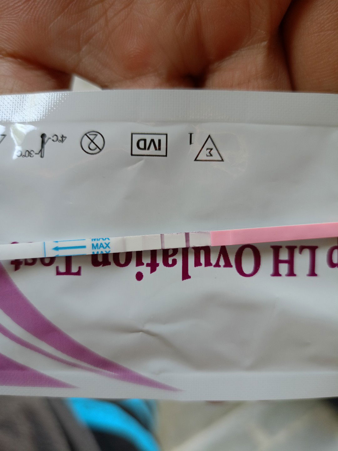 ที่ตรวจไข่ตก