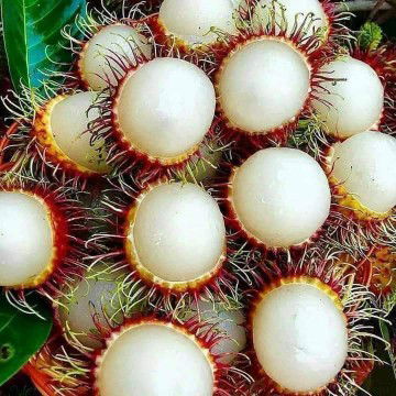 megha zakaria profile icon