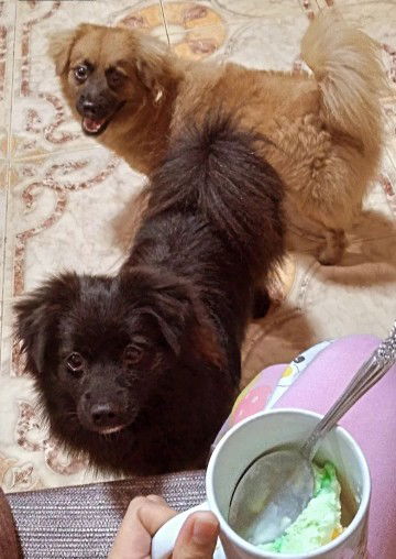 AushaBonnie profile icon