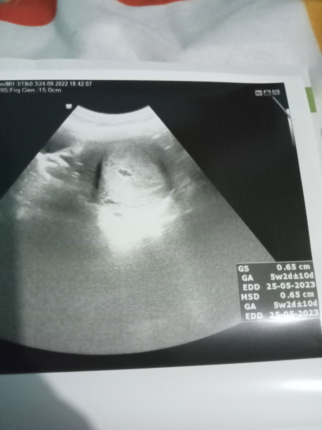 Mega Yuliana profile icon