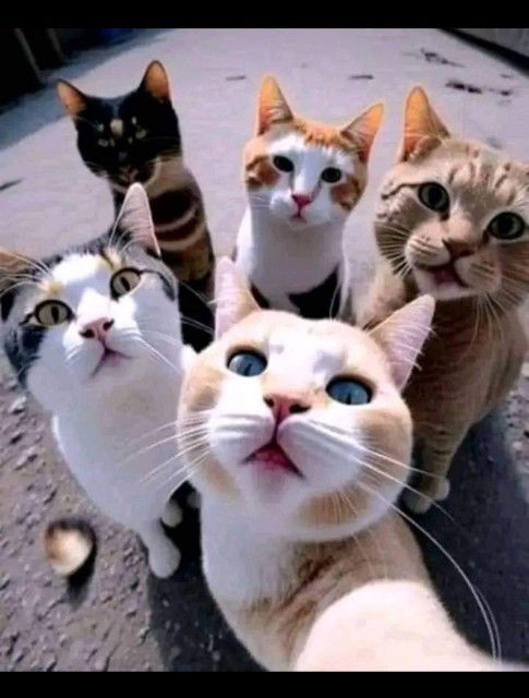 Yusi Skincare profile icon