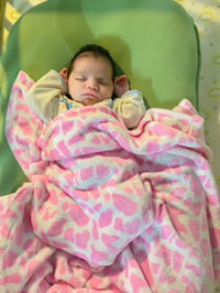 quachphuongthao profile icon