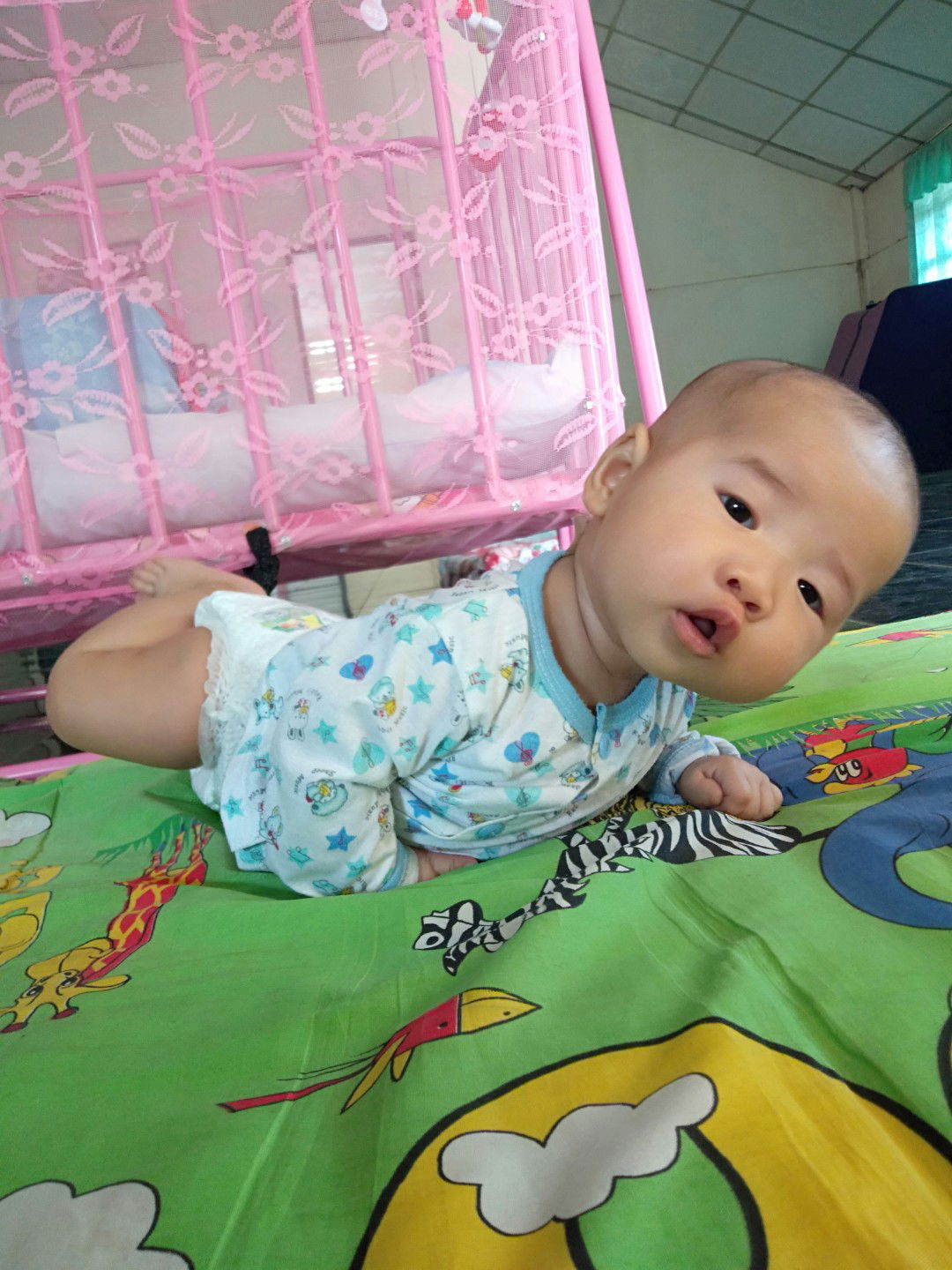 เพนกวินน้อย