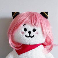 seokjin's wife profile icon