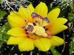 bunda R profile icon