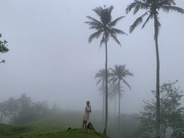 Cheenee Anne Makasiar profile icon