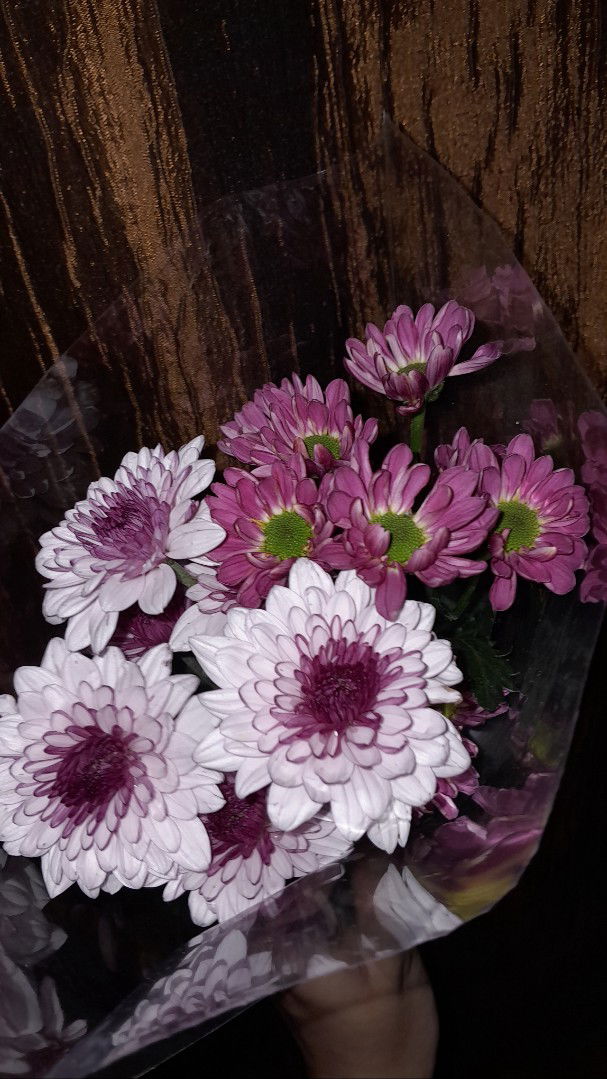 Ulfatanindira Anindira profile icon