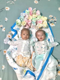 Trần Thị Kim Ánh profile icon