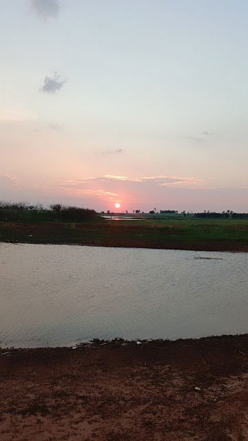 jnayaporn profile icon