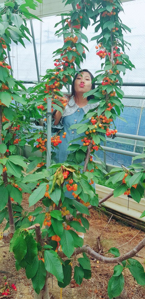 jully thuận profile icon