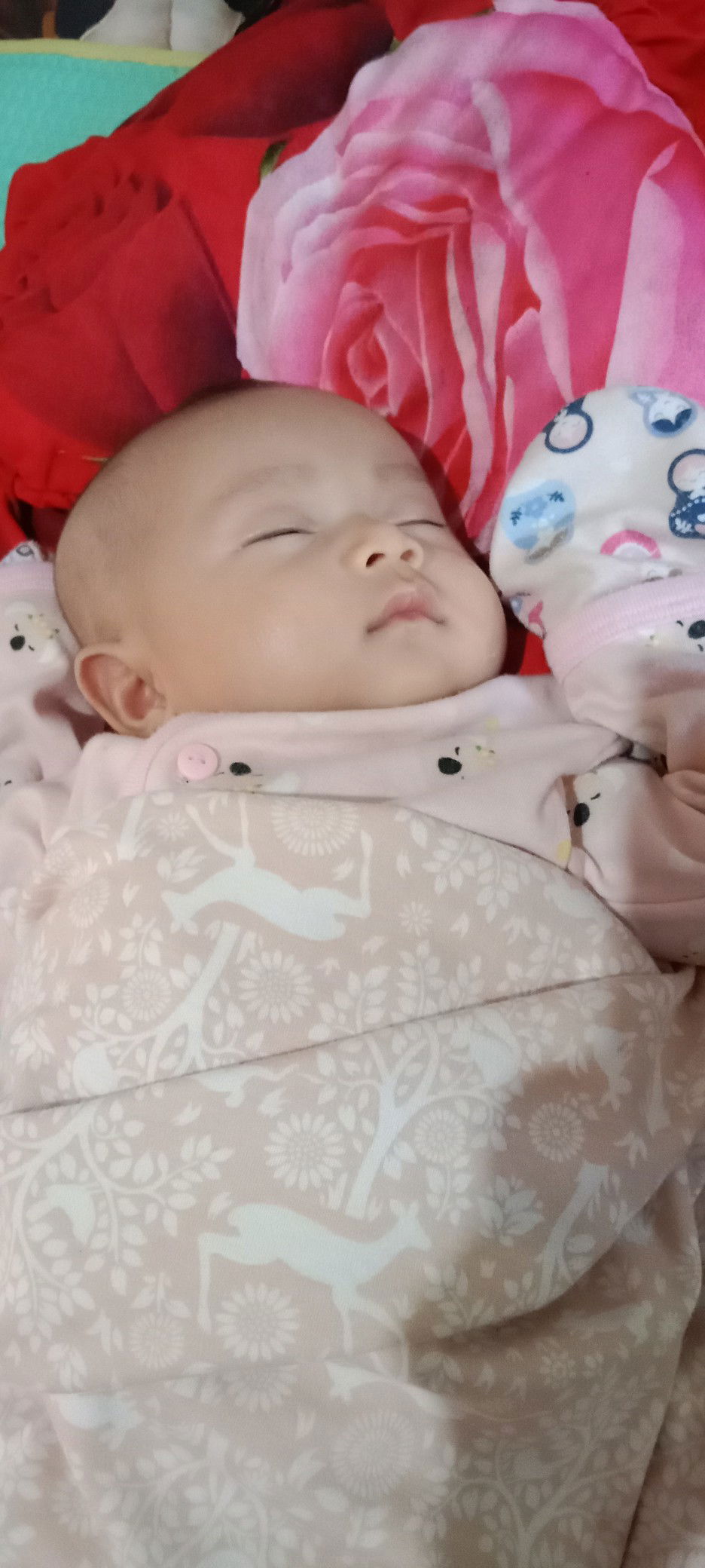 Nurpita Aini profile icon