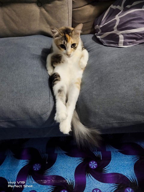 Norazilah Hussin profile icon