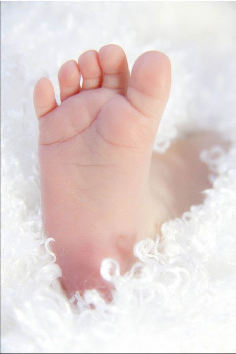 merpati putih profile icon