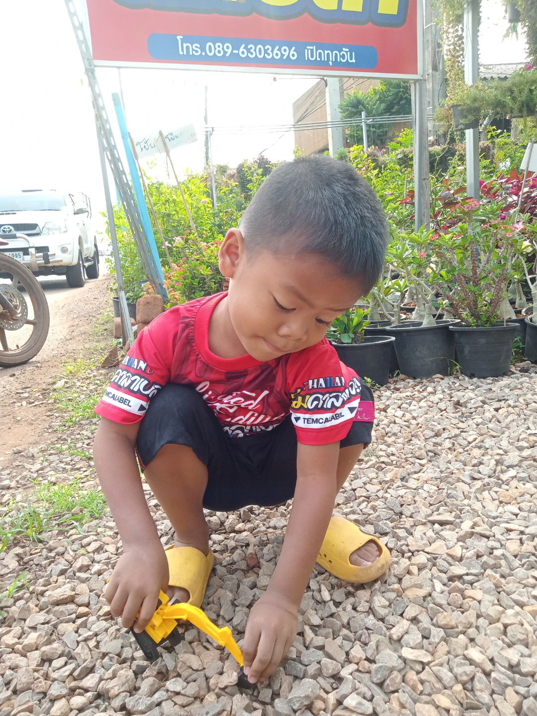 น้องกล้า profile icon