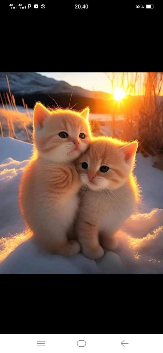 nuryati fadilah profile icon