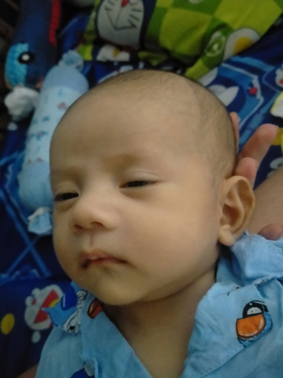 Như Ý profile icon