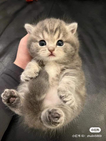 Supawinee Indee profile icon