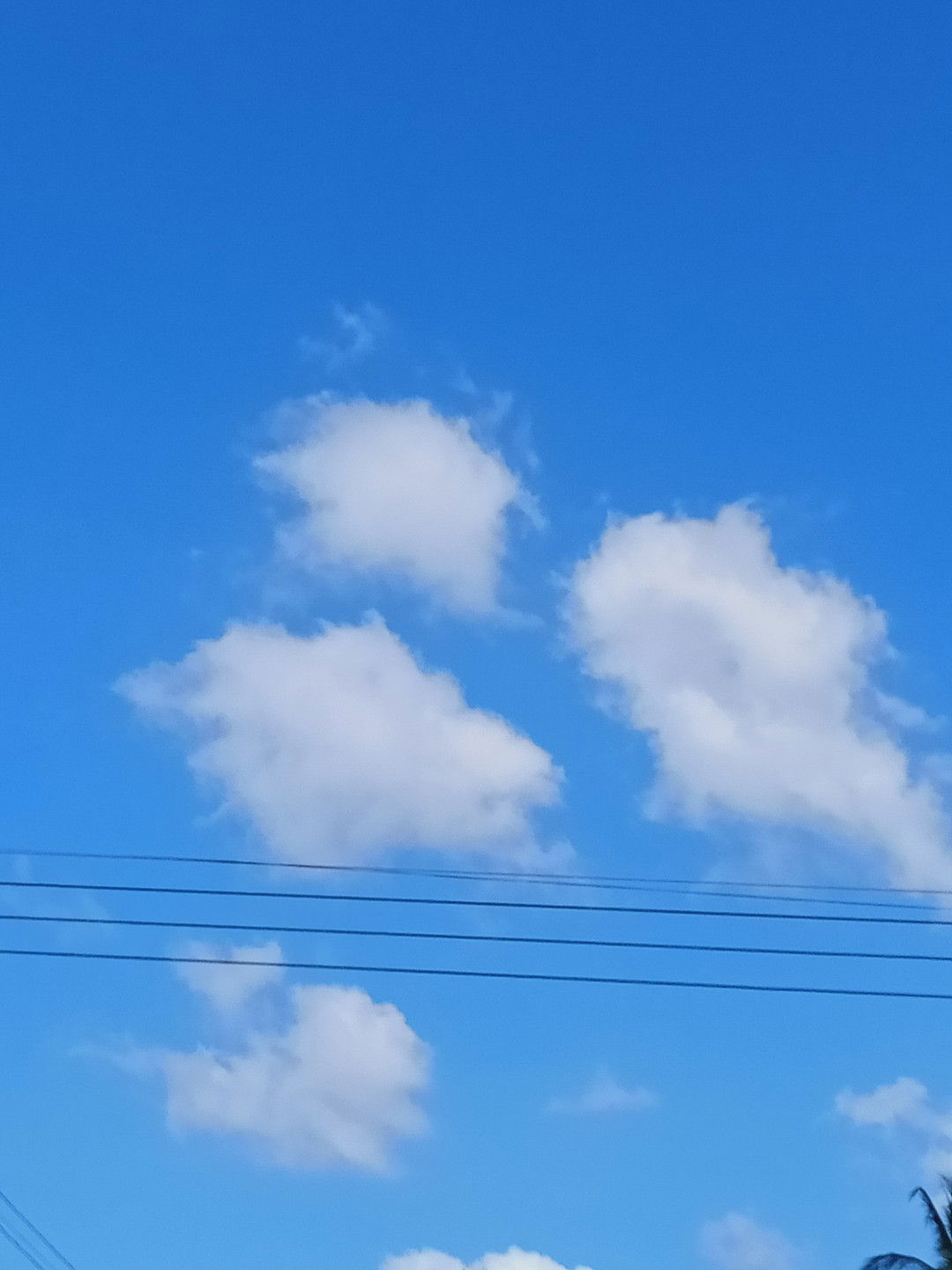 หม่อน น. profile icon